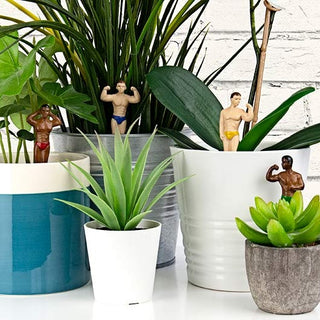 Hunk Planters