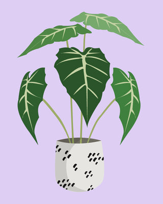 Paint By Number - Just Leafy