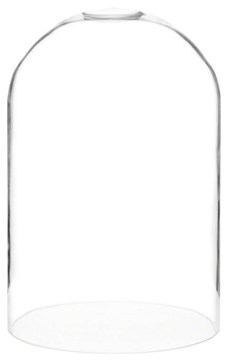 Bard's 8" x 12" Glass Display Dome Cloche (no Base)