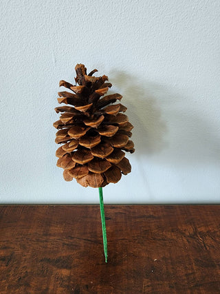 Ponderosa Pine Cones: Natural w/12" pick