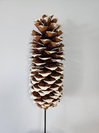 Sugar Pine Cones (large): Natural w/18" pick