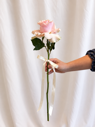 ALC Spring Single Rose