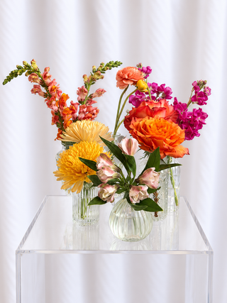 ALC Summer 6-Pack Bud Vases