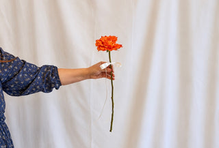 ALC Summer Single Rose