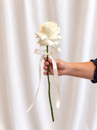ALC Winter Single Rose