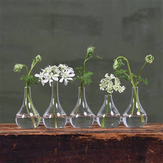 Quintet Glass Vase