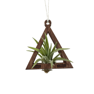 Mini Air Plant Hanger Triangle Walnut