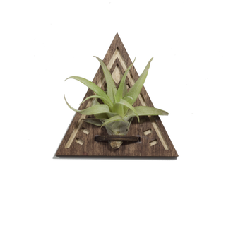 Wood Cut Air Plant Magnet