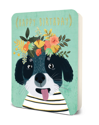 Deluxe Card Sets - Happy Birthday Dog