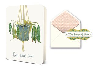 Deluxe Card Sets - Get Well Soon Plant
