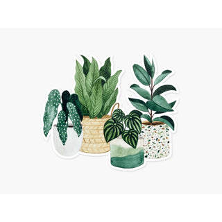 Potted Plants Sticker - Clear