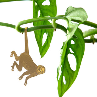 Plant Animal - Spider Monkey