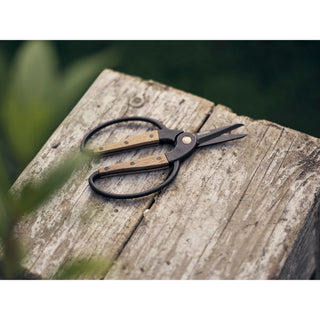 Garden Scissors - Small