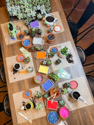 Succulent Potting Class